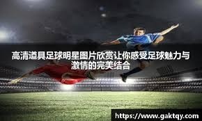 坦帕湾光芒正式破土动工兴建全新室内球场，旨在终结长达 20 年的球场搬迁争议