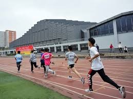 大谷翔平在 2023 年对阵捷克队后的社群媒体互动，让捷克棒球协会粉丝暴涨